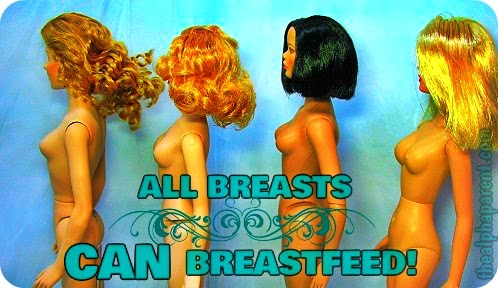 All Breasts Can Breastfeed