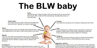 Diagram of a BLW Baby