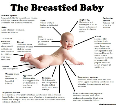 Diagram of a Breastfed Baby