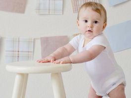 Best Baby High Chairs